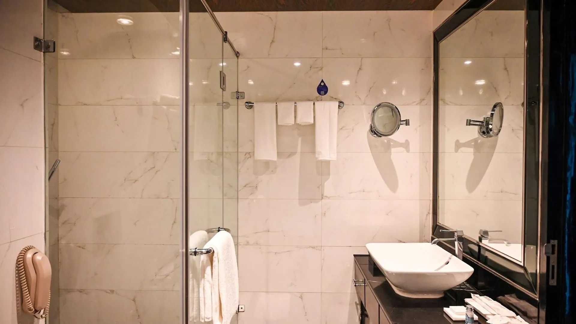 *****  Radisson Blu Hotel New Delhi Paschim Vihar Indien