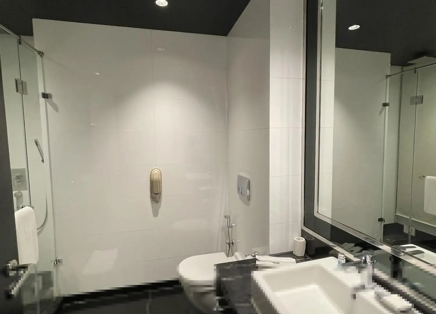 Radisson Blu Hotel New Delhi Paschim Vihar 5*, Дели