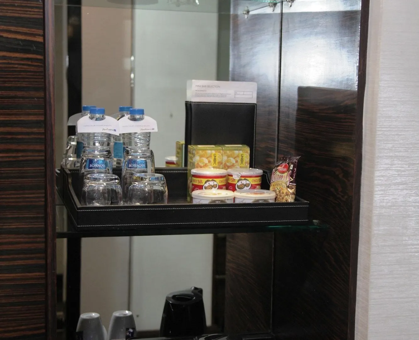 Radisson Blu Hotel New Delhi Paschim Vihar